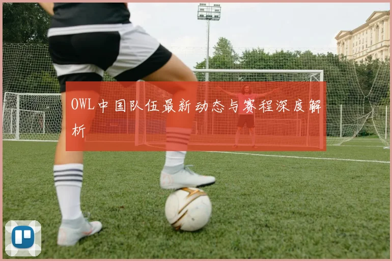 OWL中国队伍最新动态与赛程深度解析