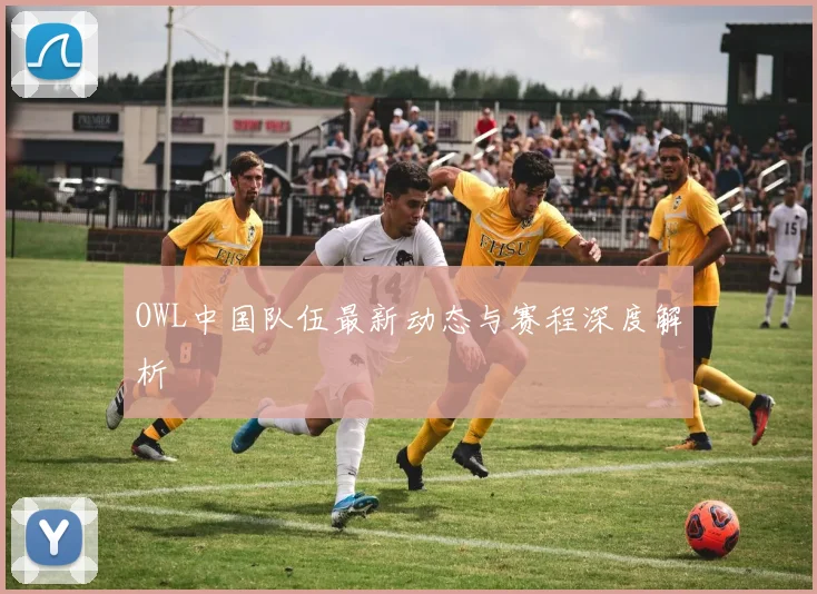 OWL中国队伍最新动态与赛程深度解析